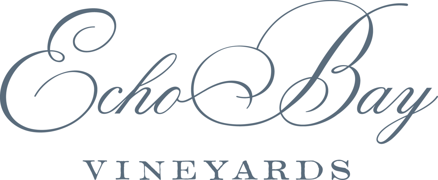 Echo Bay Vineyards